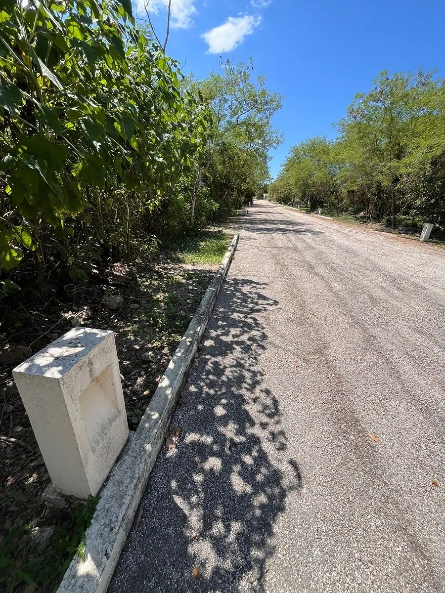 Terreno Spot2