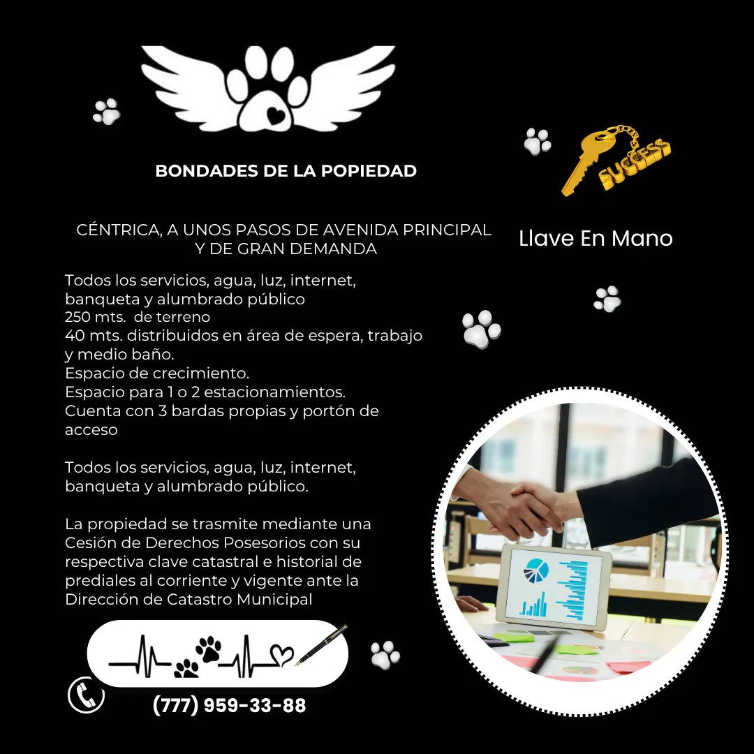 Local Comercial Spot2