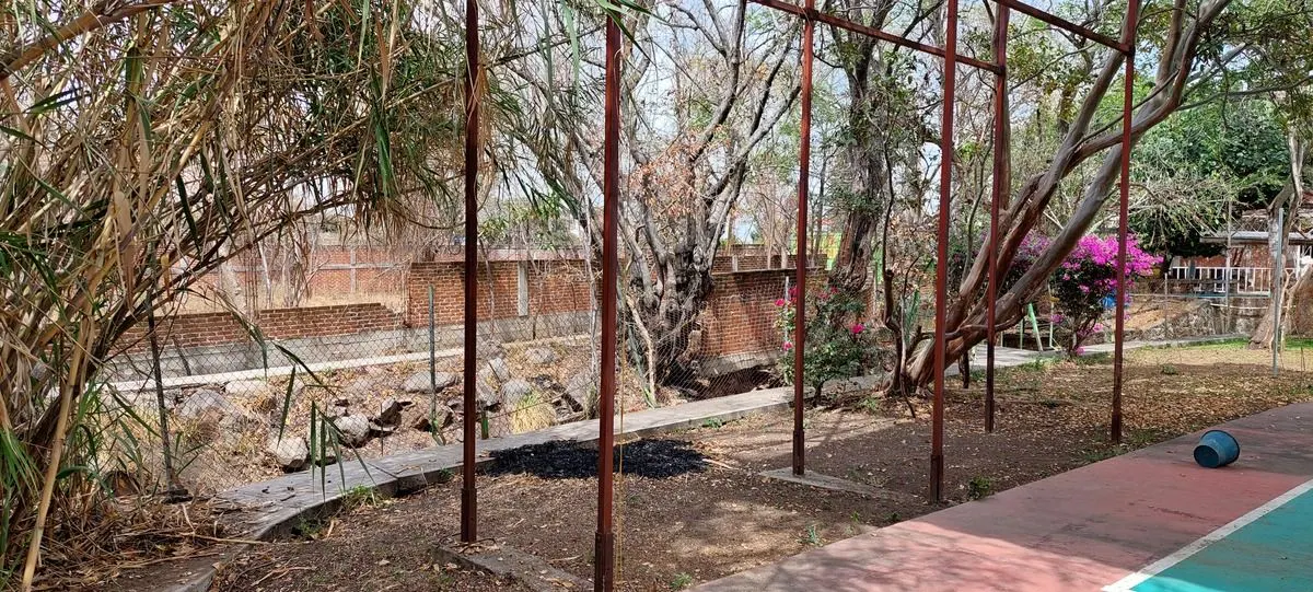 Terreno Spot2
