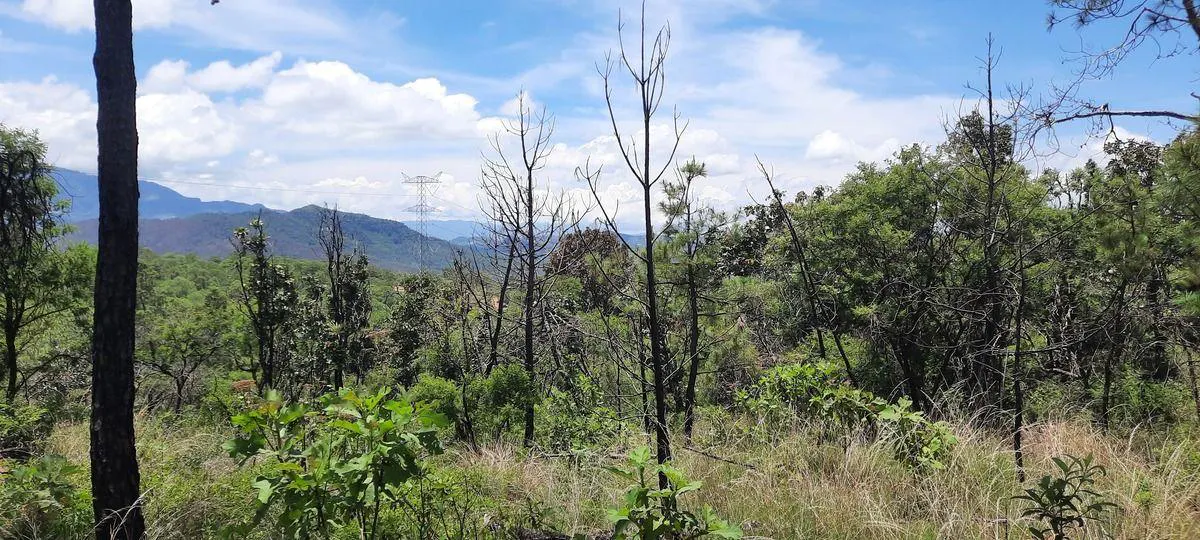 Terreno Spot2