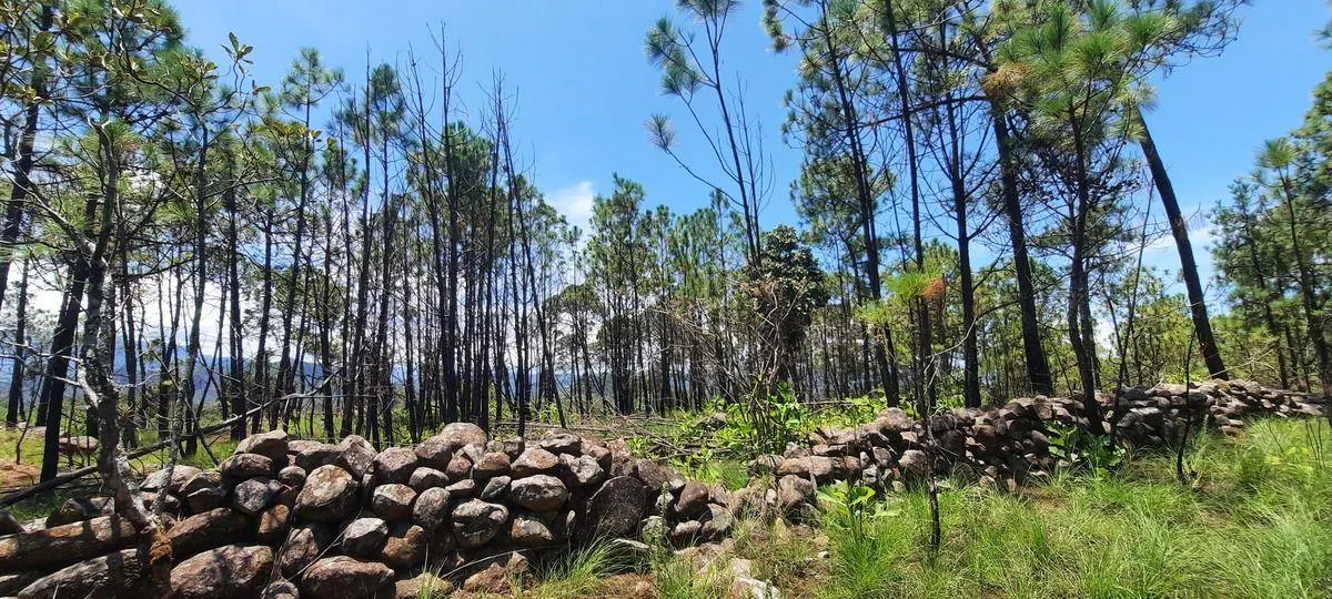 Terreno Spot2