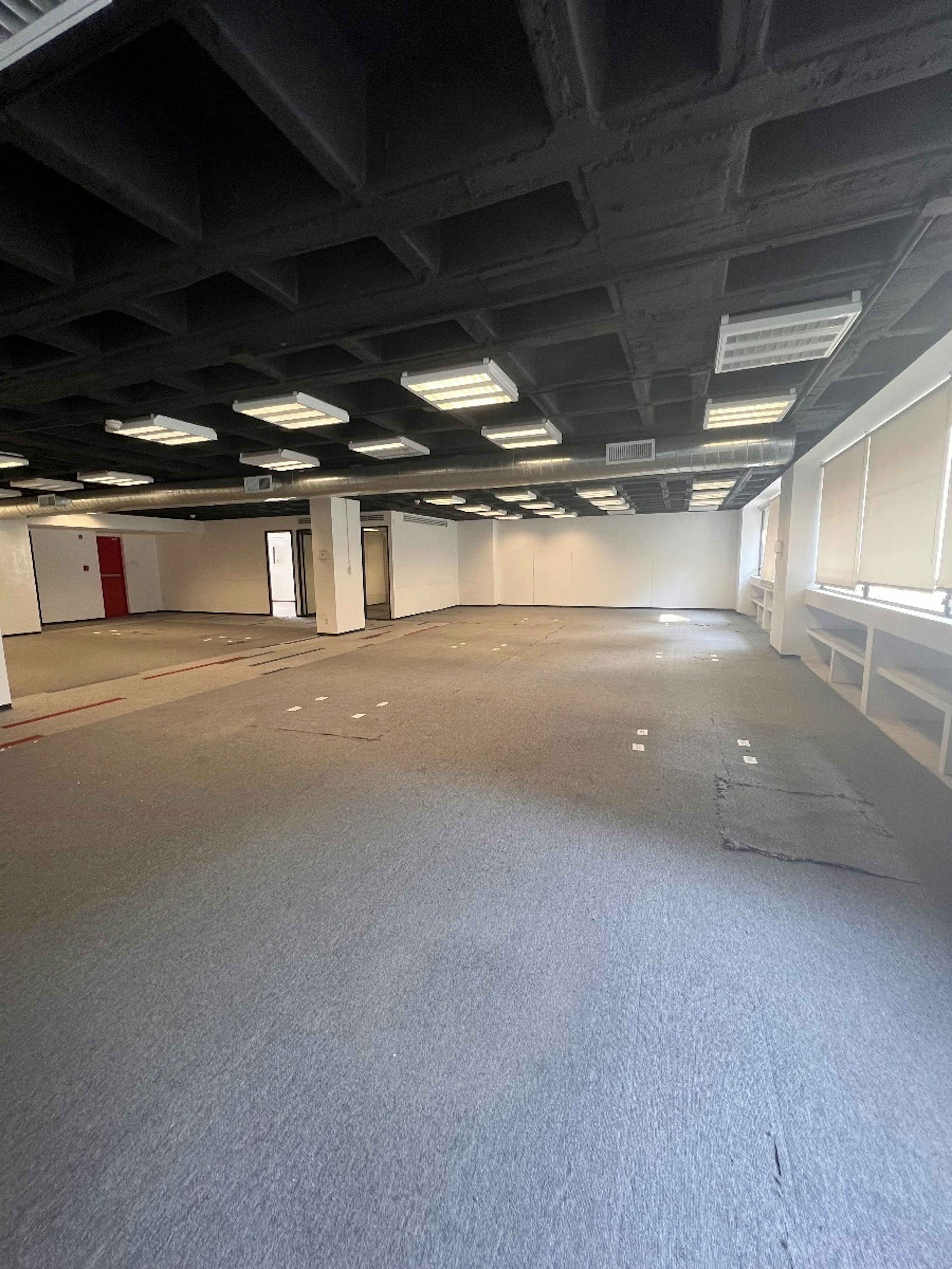 Avenida Paseo De Las Palmas 115