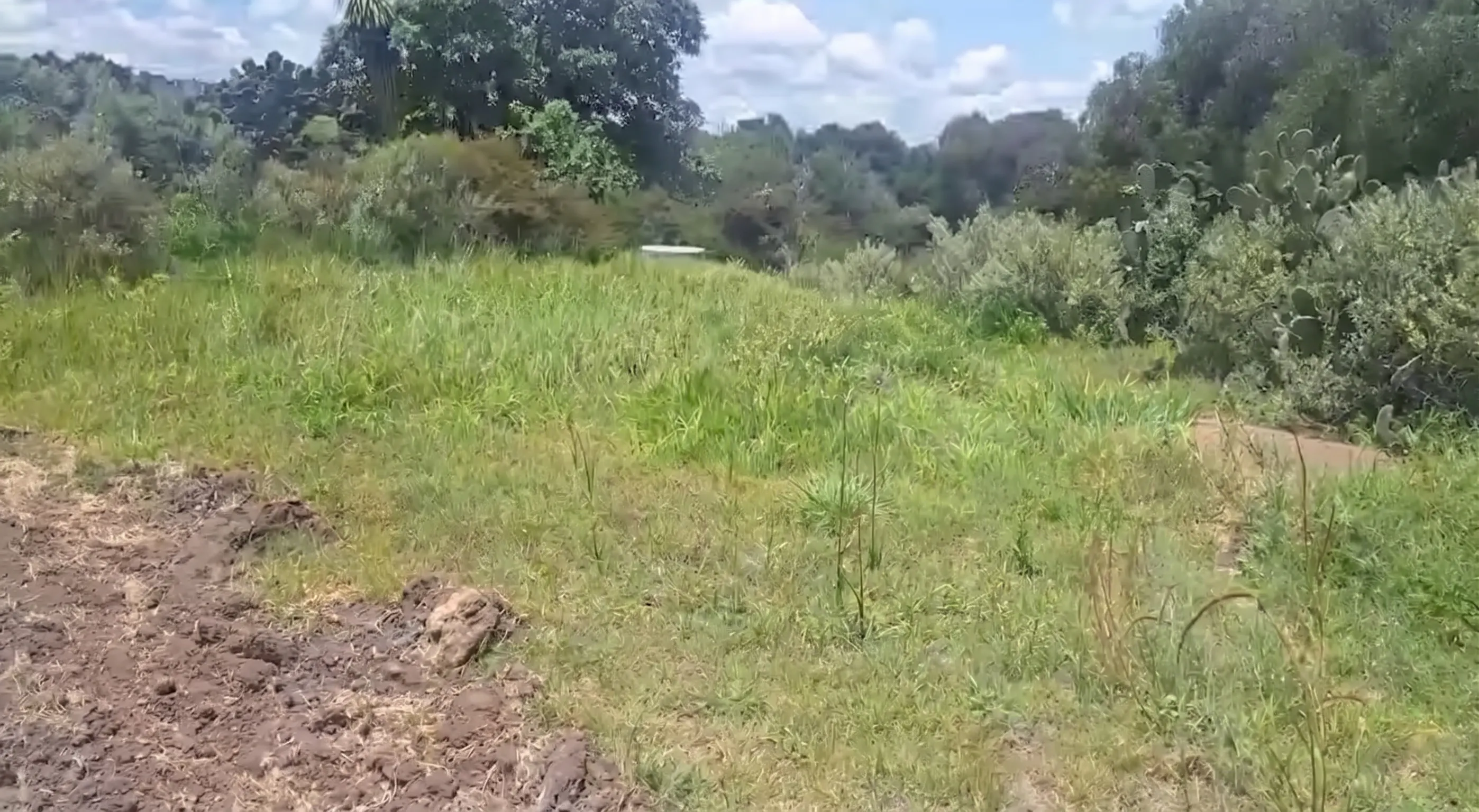 Terreno Spot2