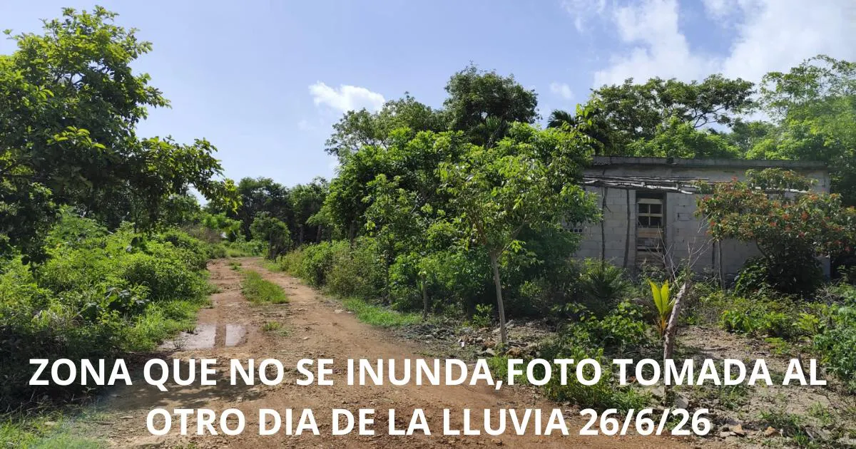 Terreno Spot2