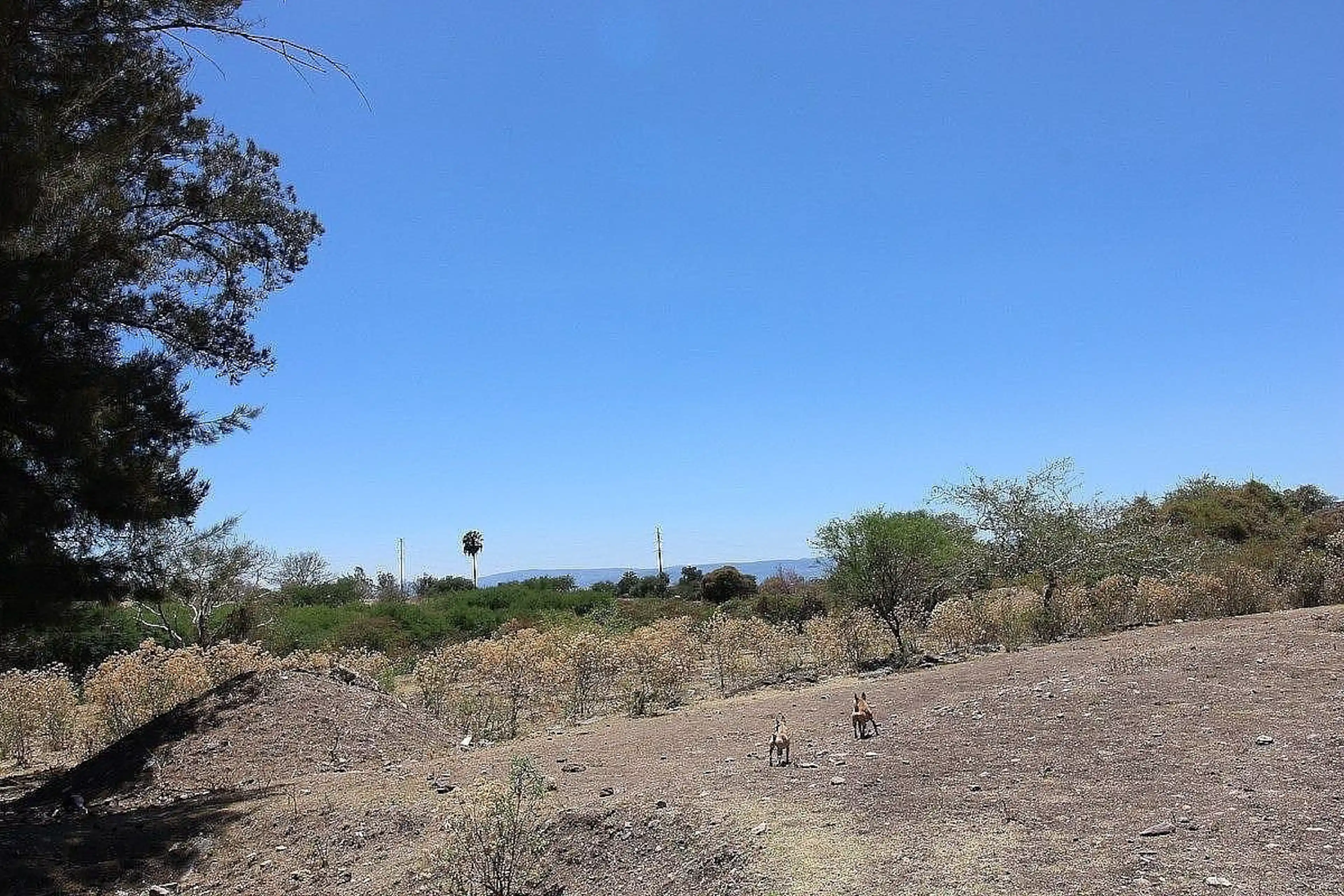 Terreno Con Alto Potencial De Desarrollo - Chapala Haciendas