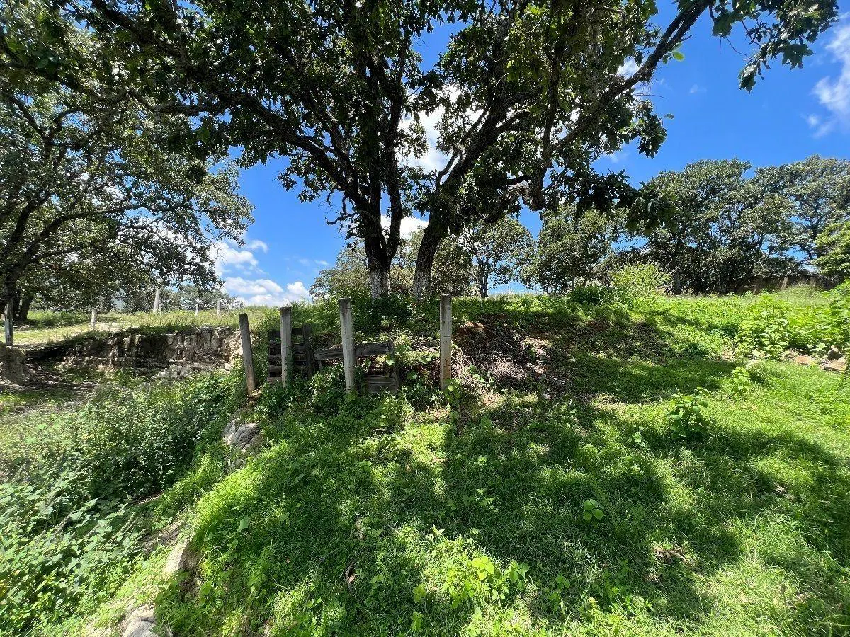 Terreno Spot2