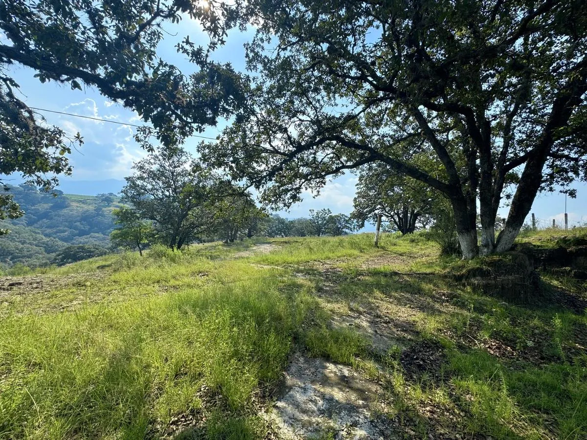 Terreno Spot2