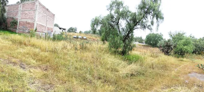 Terreno Spot2