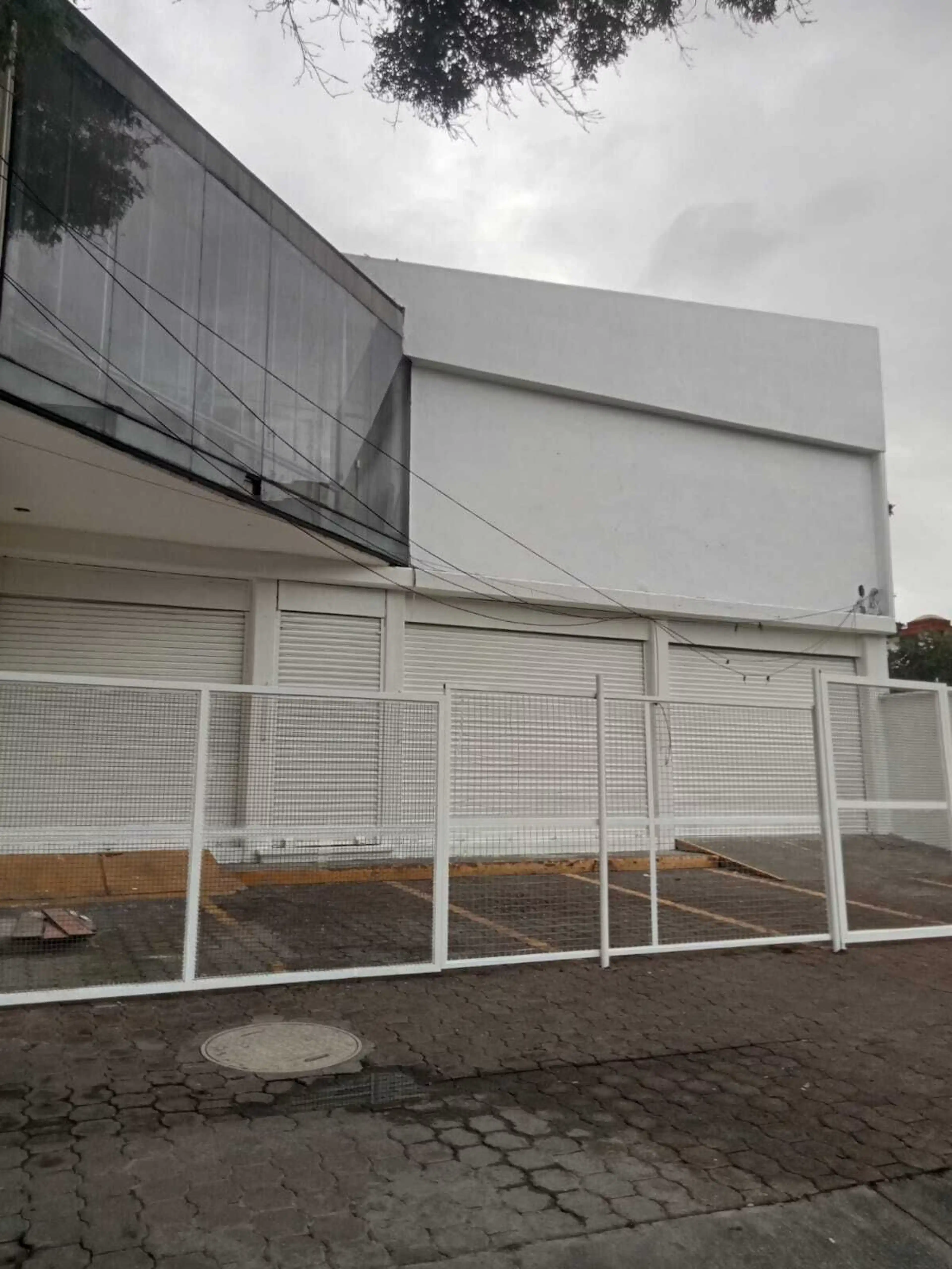 Av. Revolución.