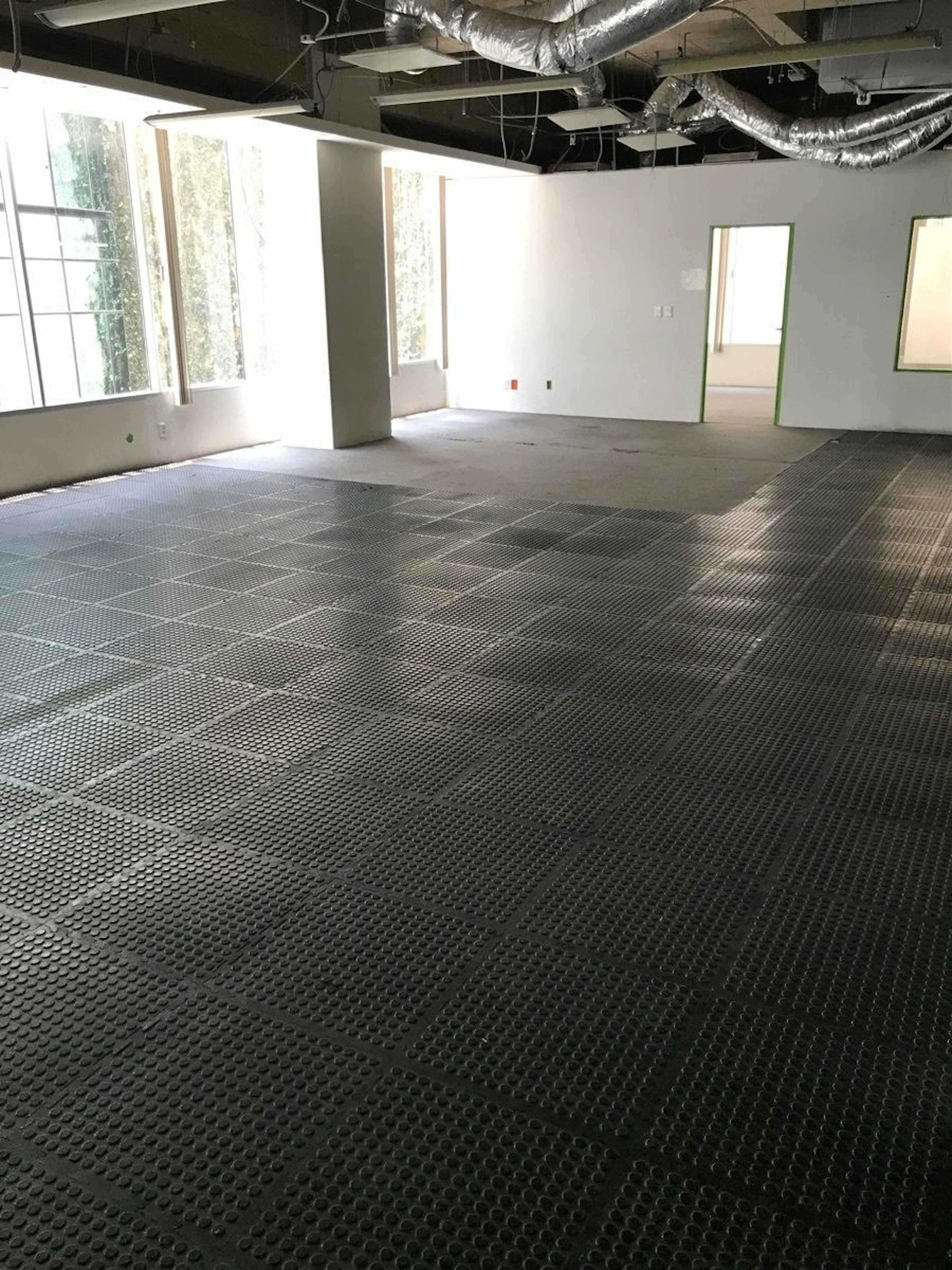 Bosque De Radiatas 10