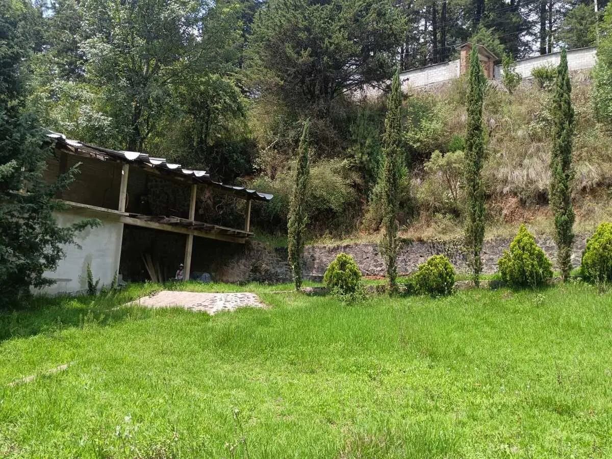 Terreno Spot2