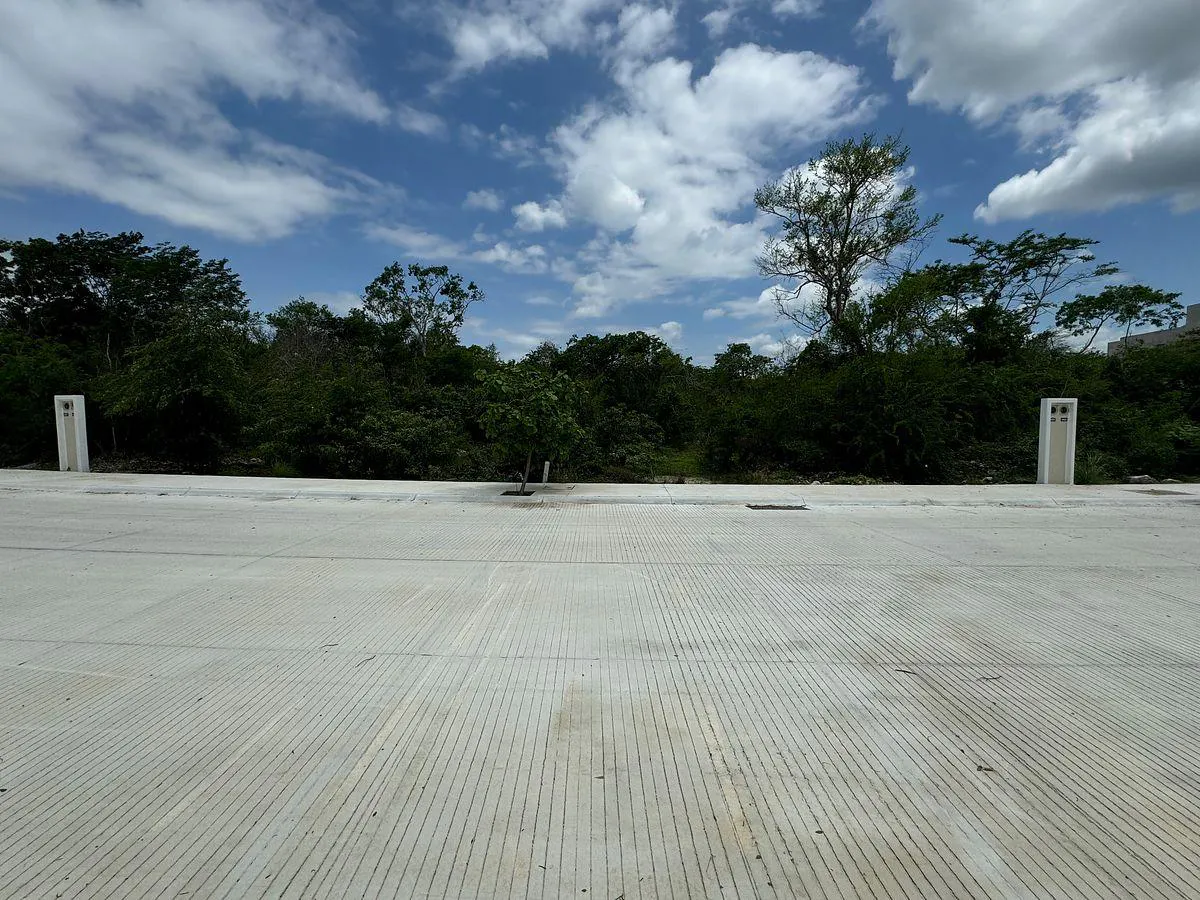 Terreno Spot2