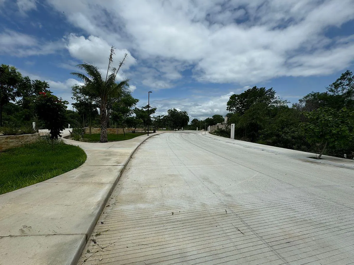 Terreno Spot2