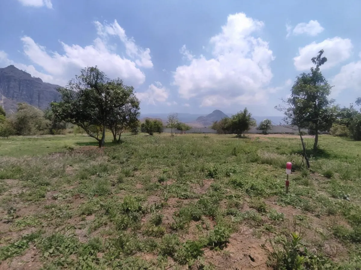 Terreno Spot2