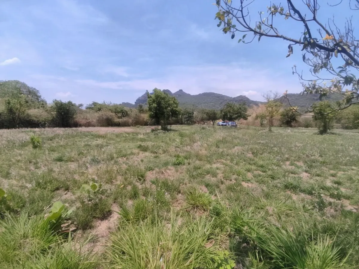 Terreno Spot2