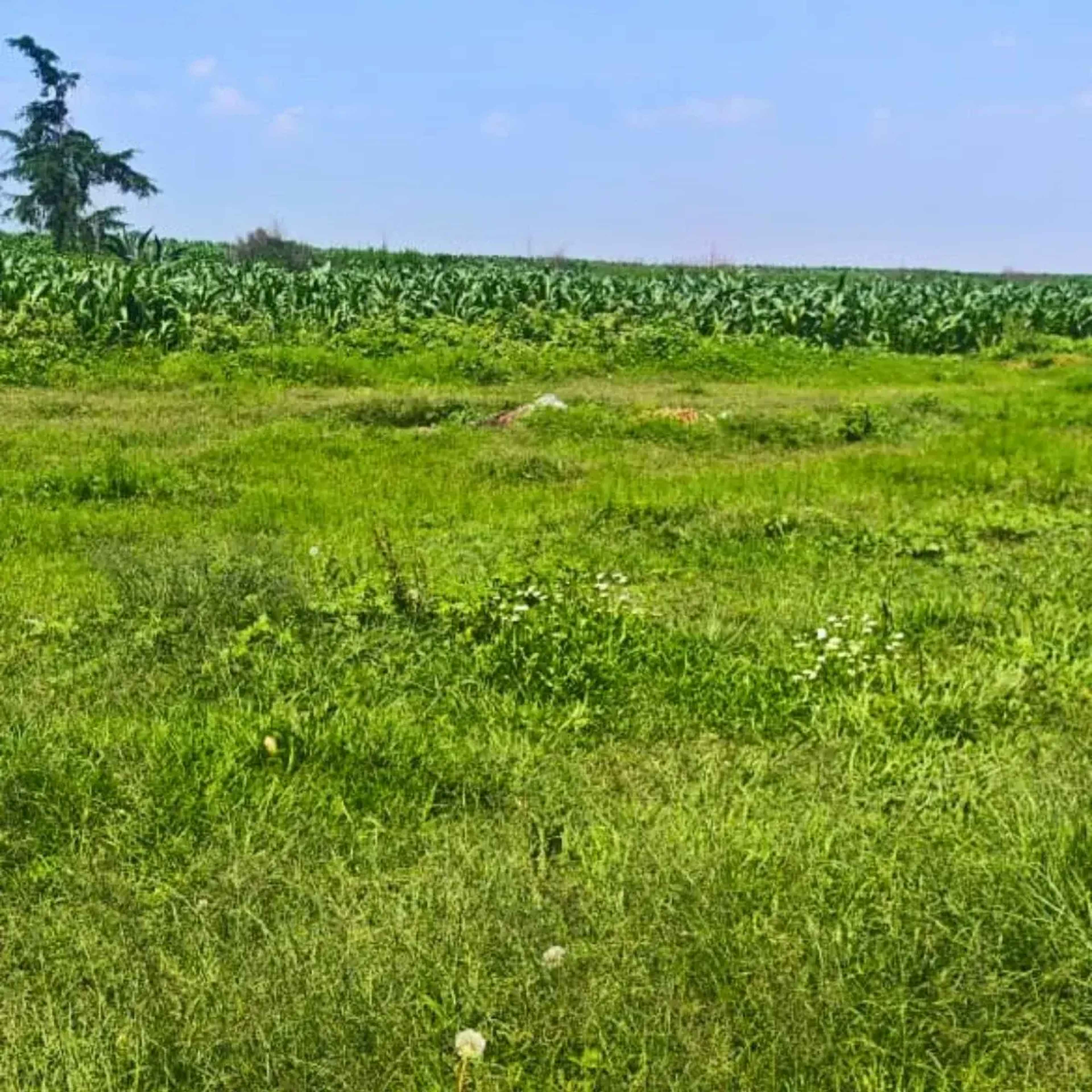 Terreno En Venta En Ejidal San Salvador, Atenco, México