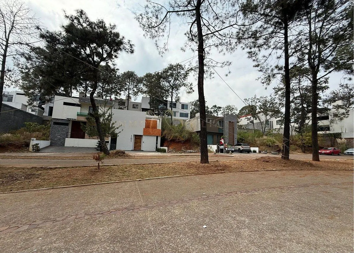 Terreno Spot2