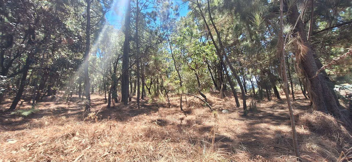 Terreno Spot2