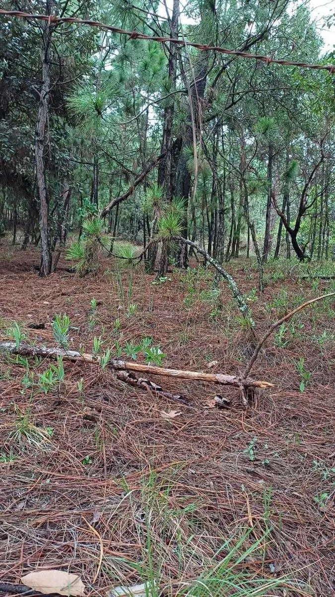 Terreno Spot2