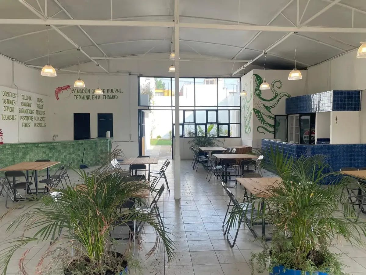 Local Comercial Spot2