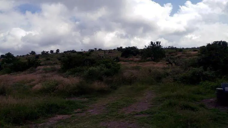 Terreno Spot2