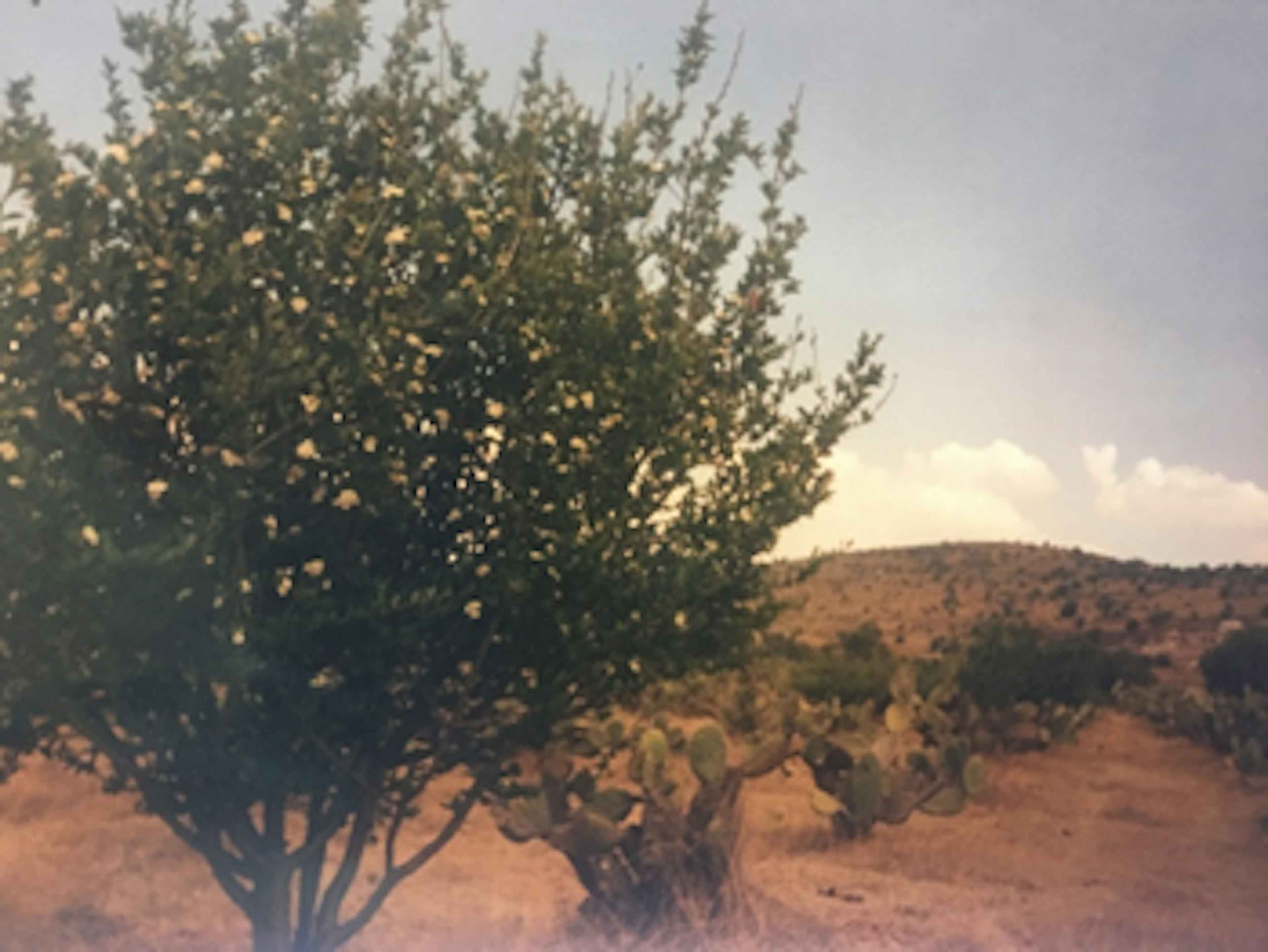 Josefa Ortiz De Domínguez