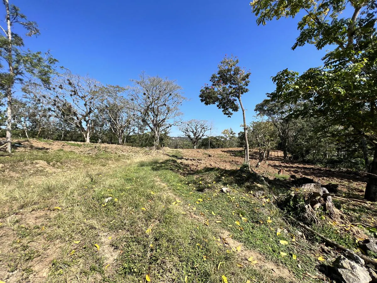 Terreno Spot2
