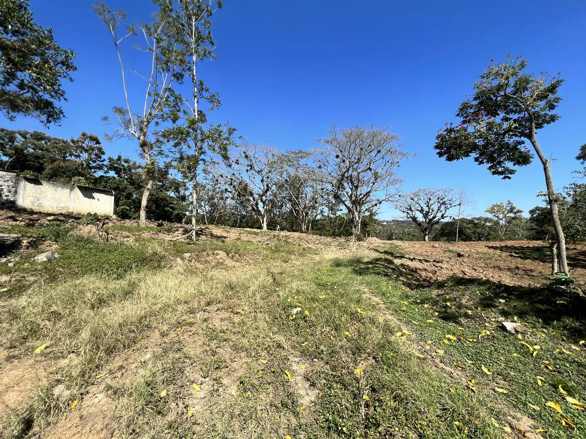 Terreno Spot2