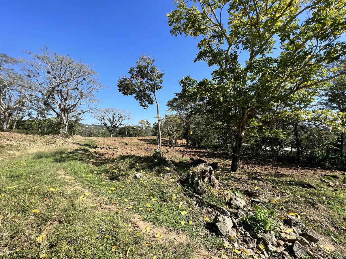 Terreno Spot2
