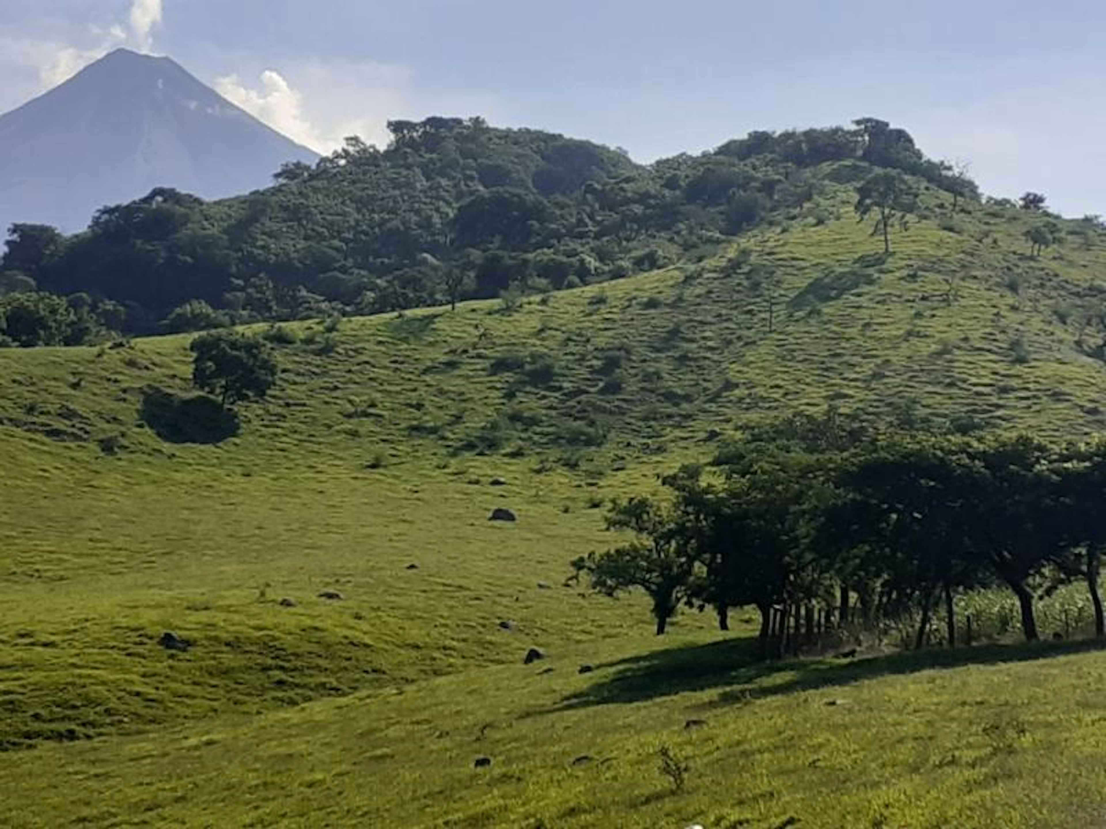 Terreno En Venta En Cofradia De Suchitlan, Comala, Colima