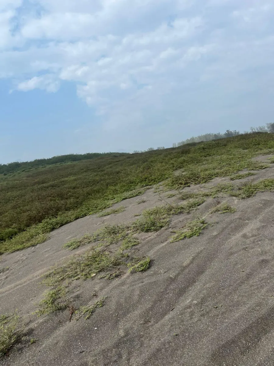 Terreno Spot2