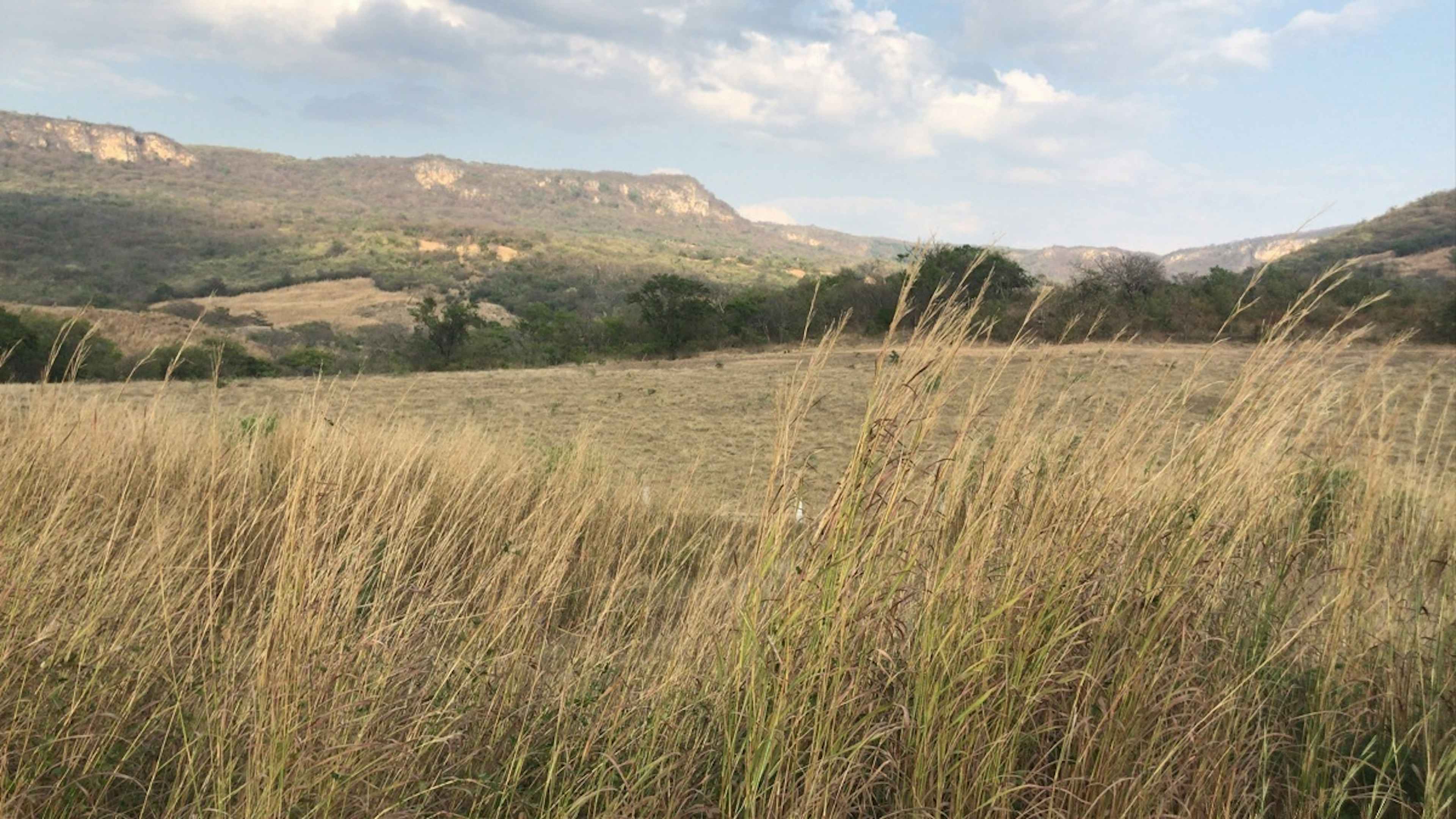 Libramiento Sur Km.30