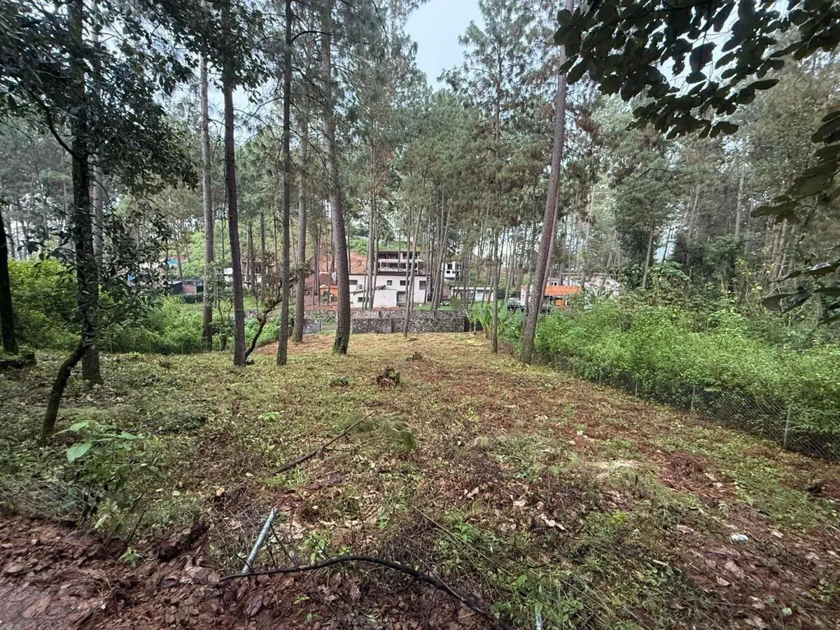 Terreno Spot2