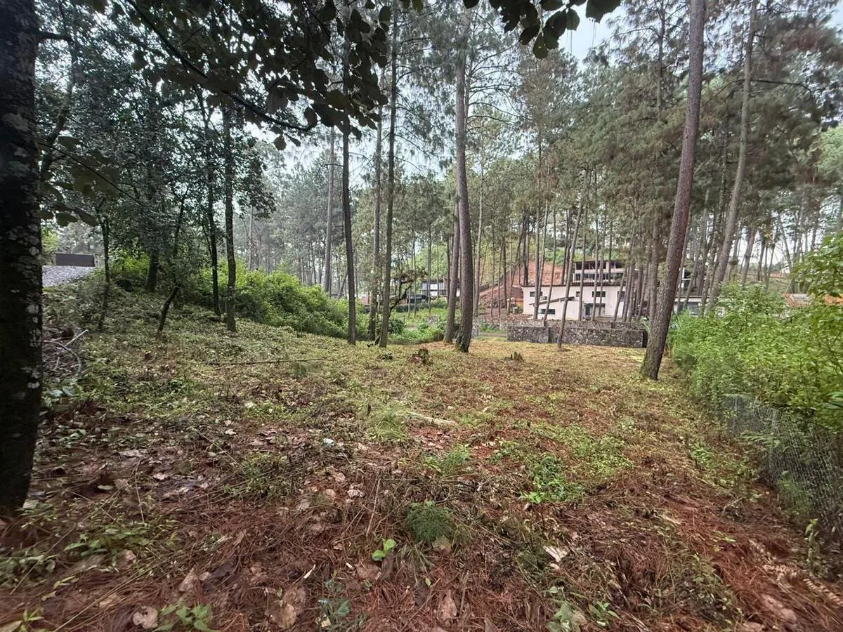Terreno Spot2