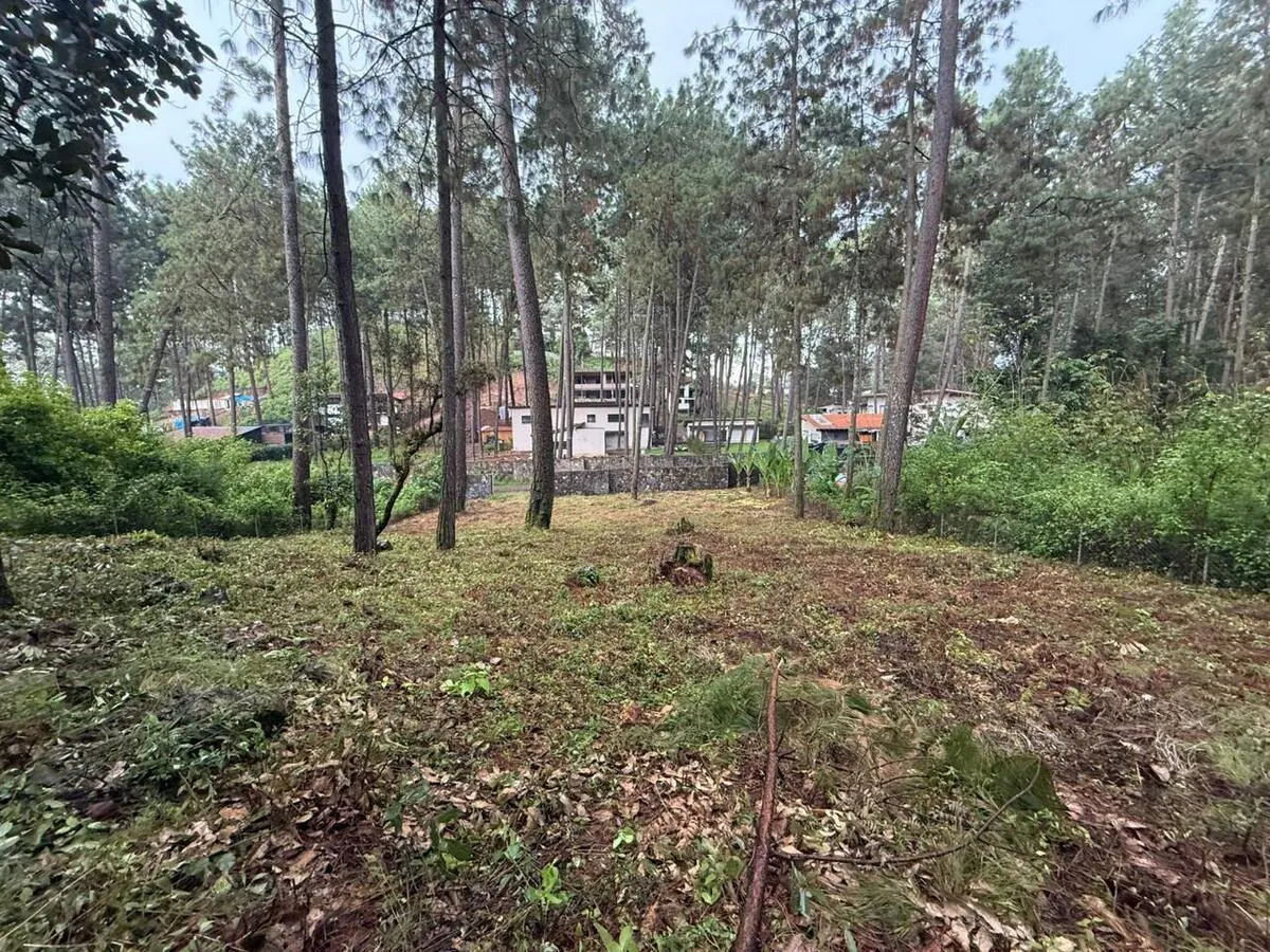 Terreno Spot2