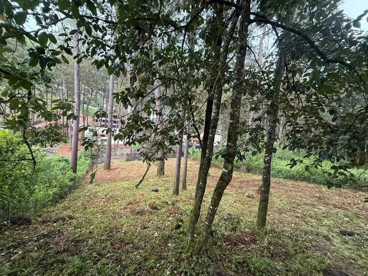 Terreno Spot2