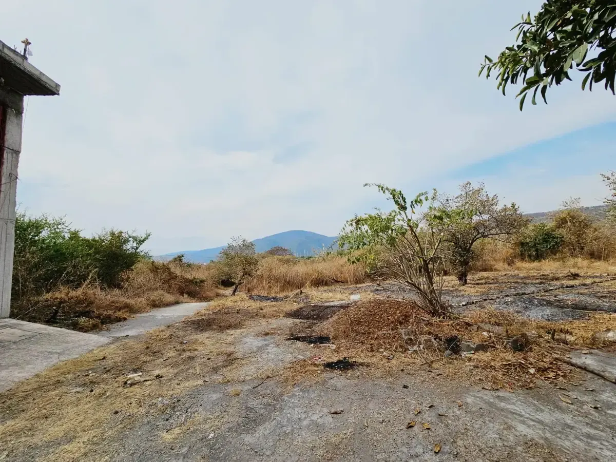 Terreno Spot2