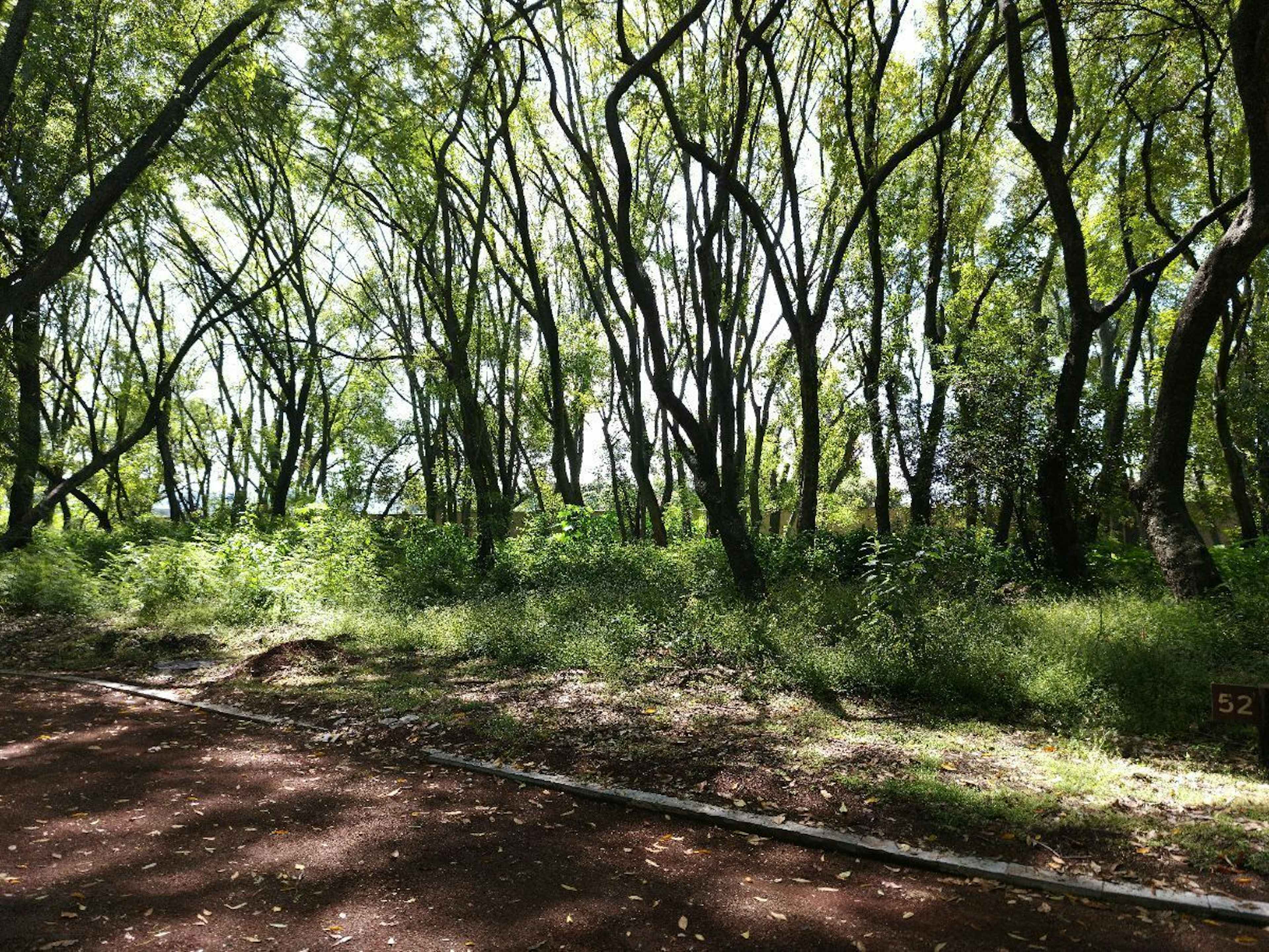 Camino A Nexatengo 2605