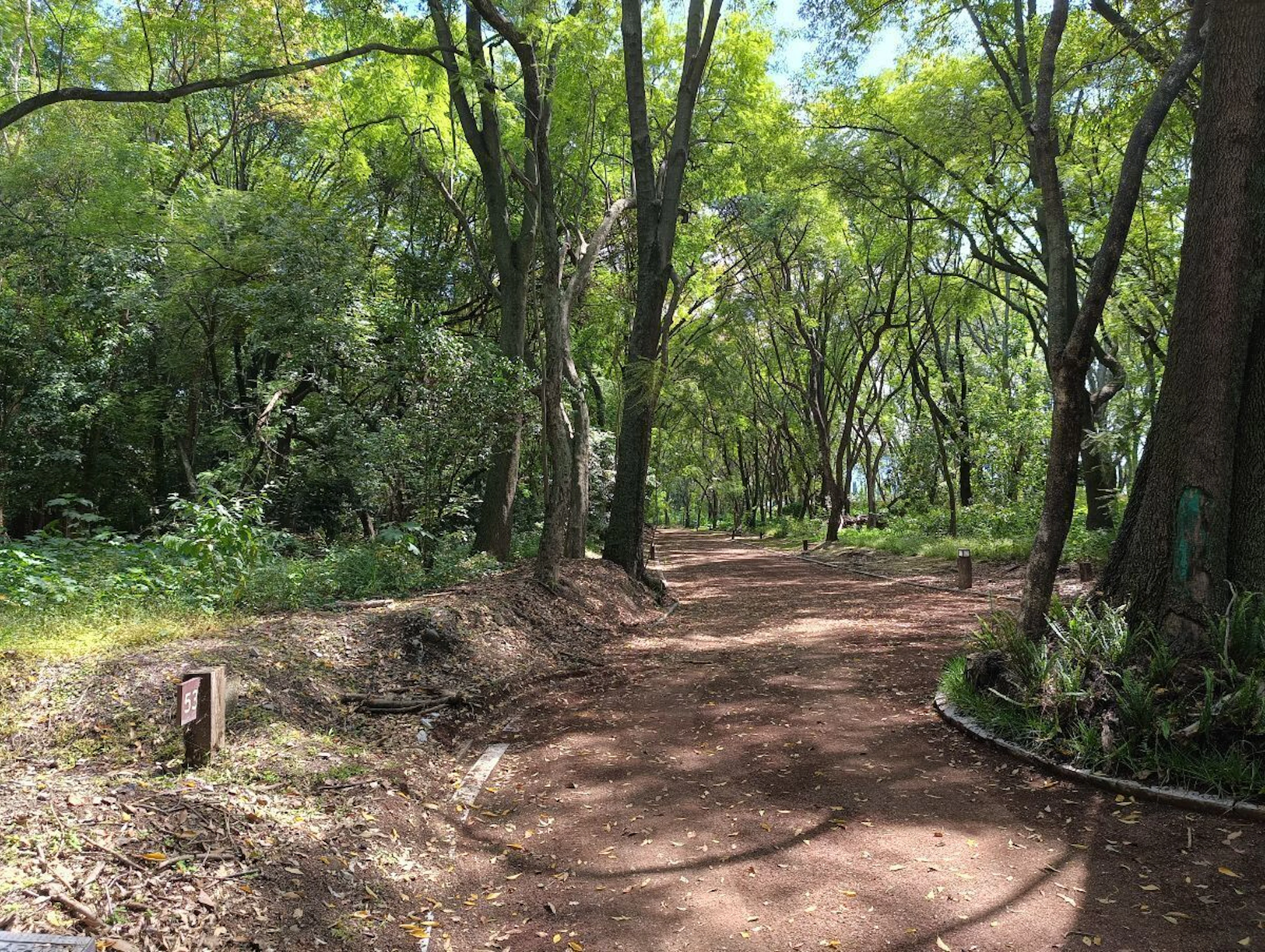 Terreno Spot2
