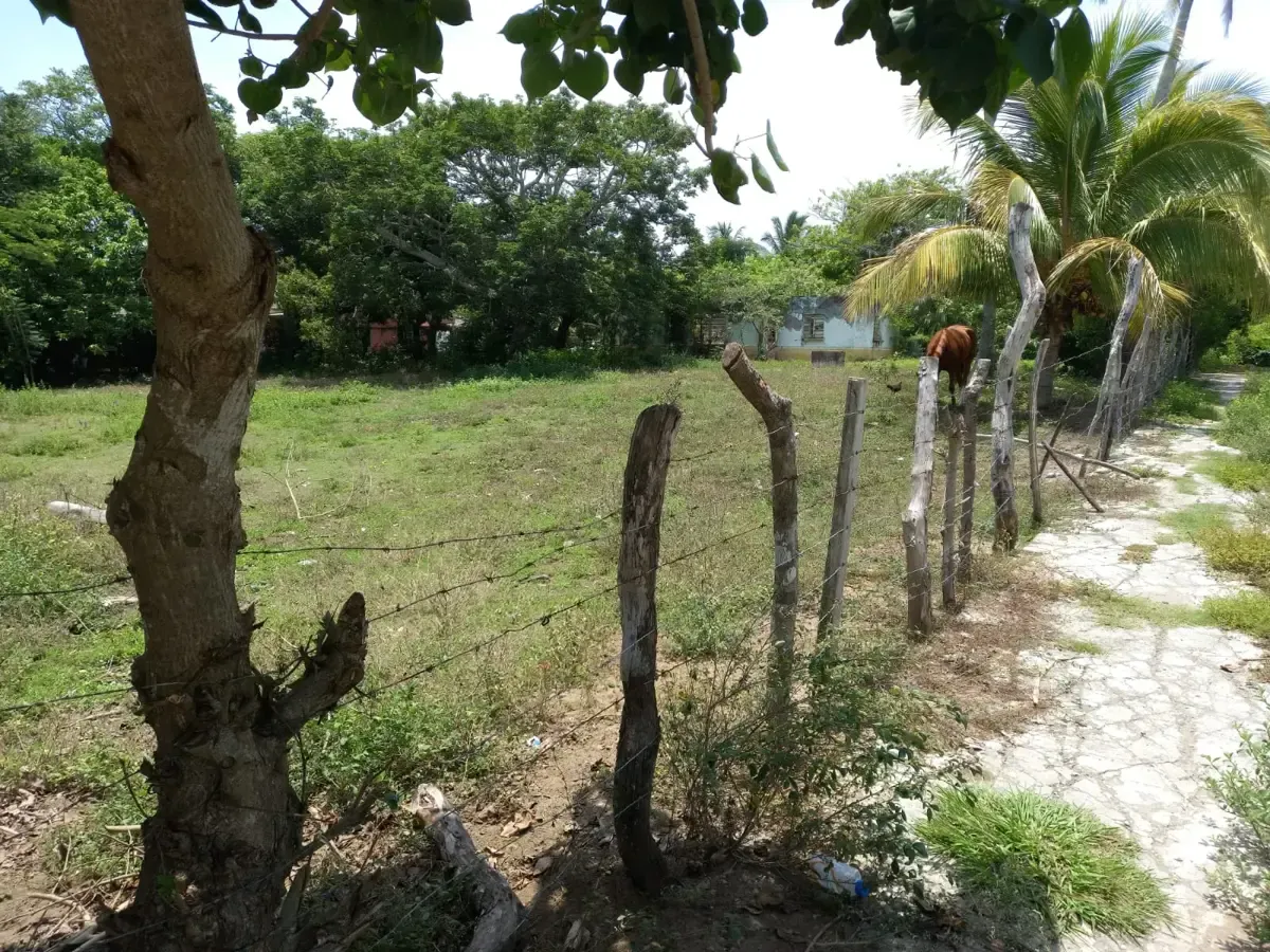 Terreno Spot2