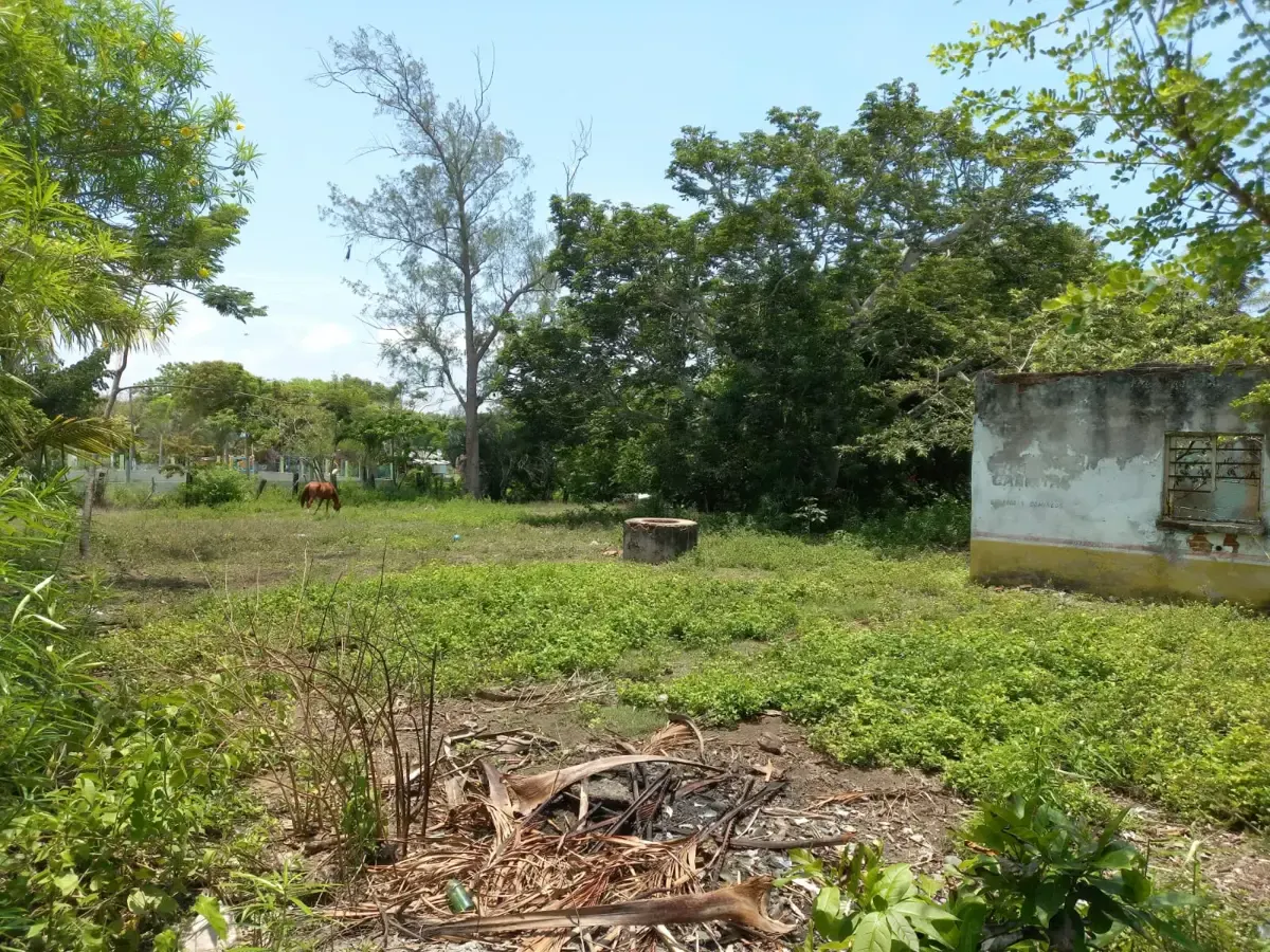 Terreno Spot2