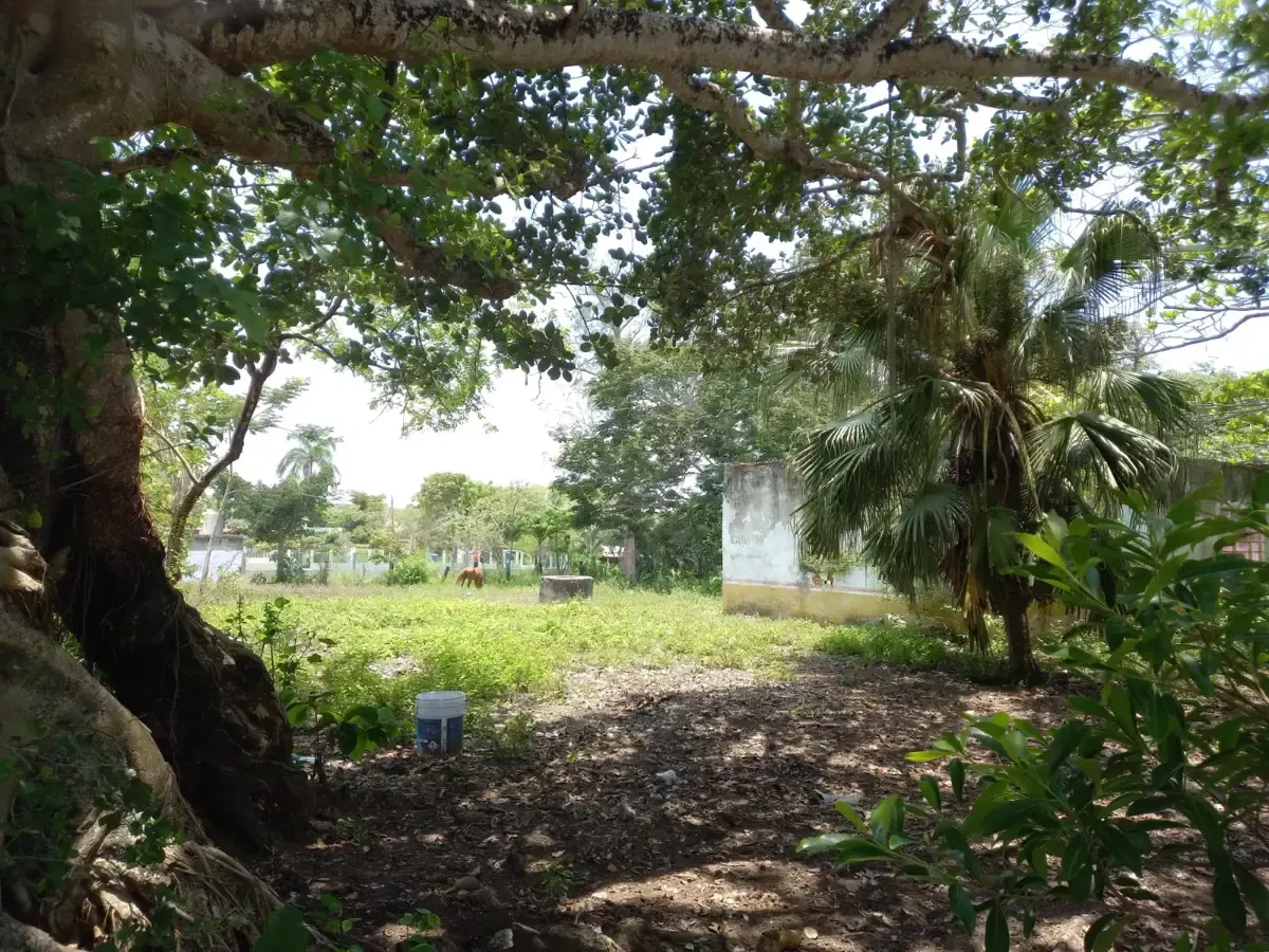 Terreno Spot2