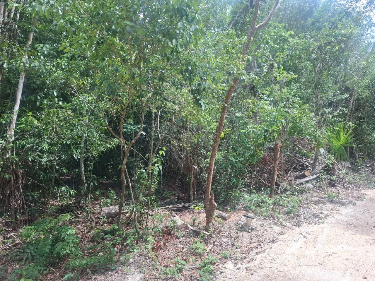 Terreno Spot2