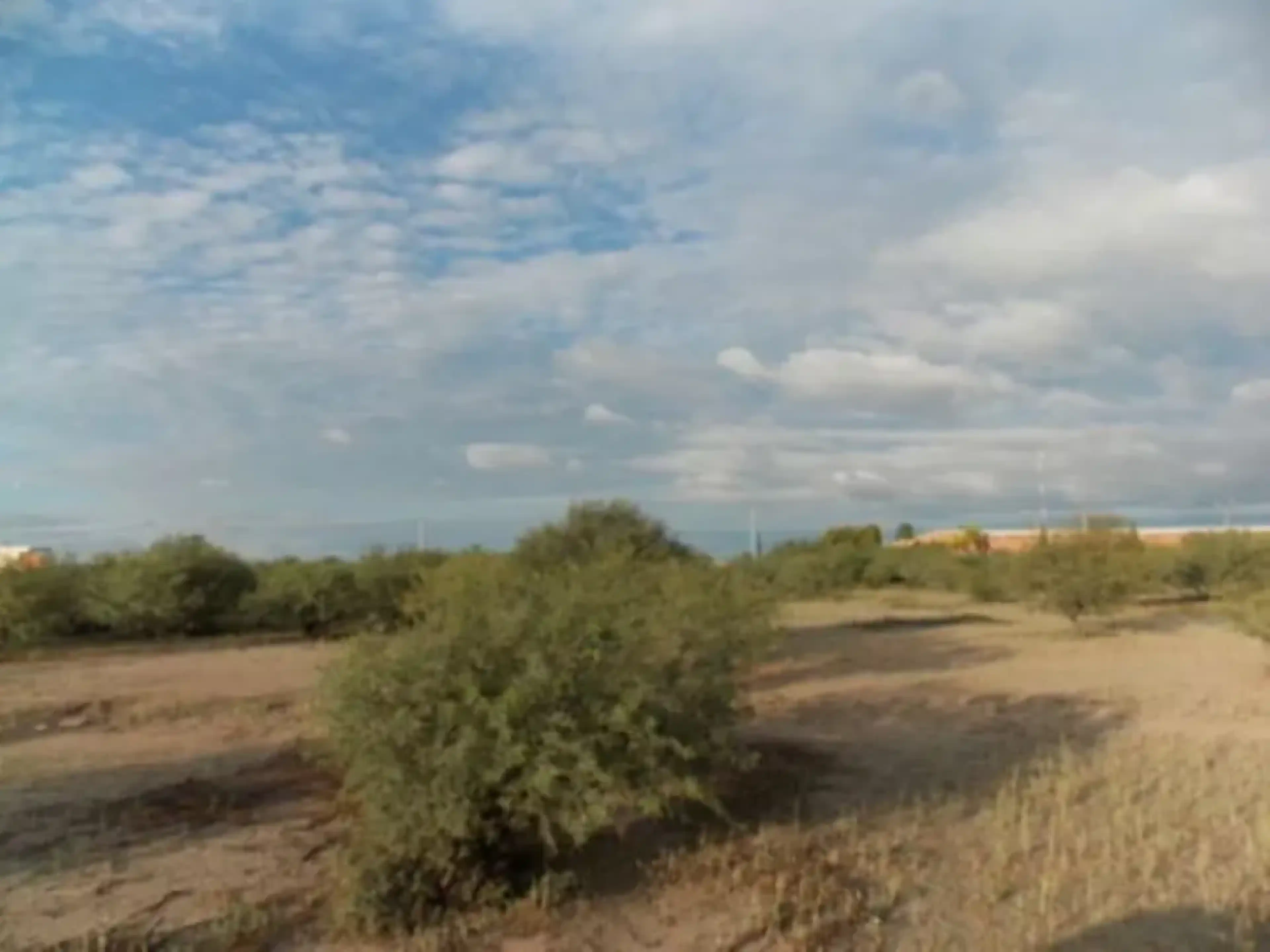 Terreno En Venta En Hormiguero, Matamoros, Coahuila De Zaragoza