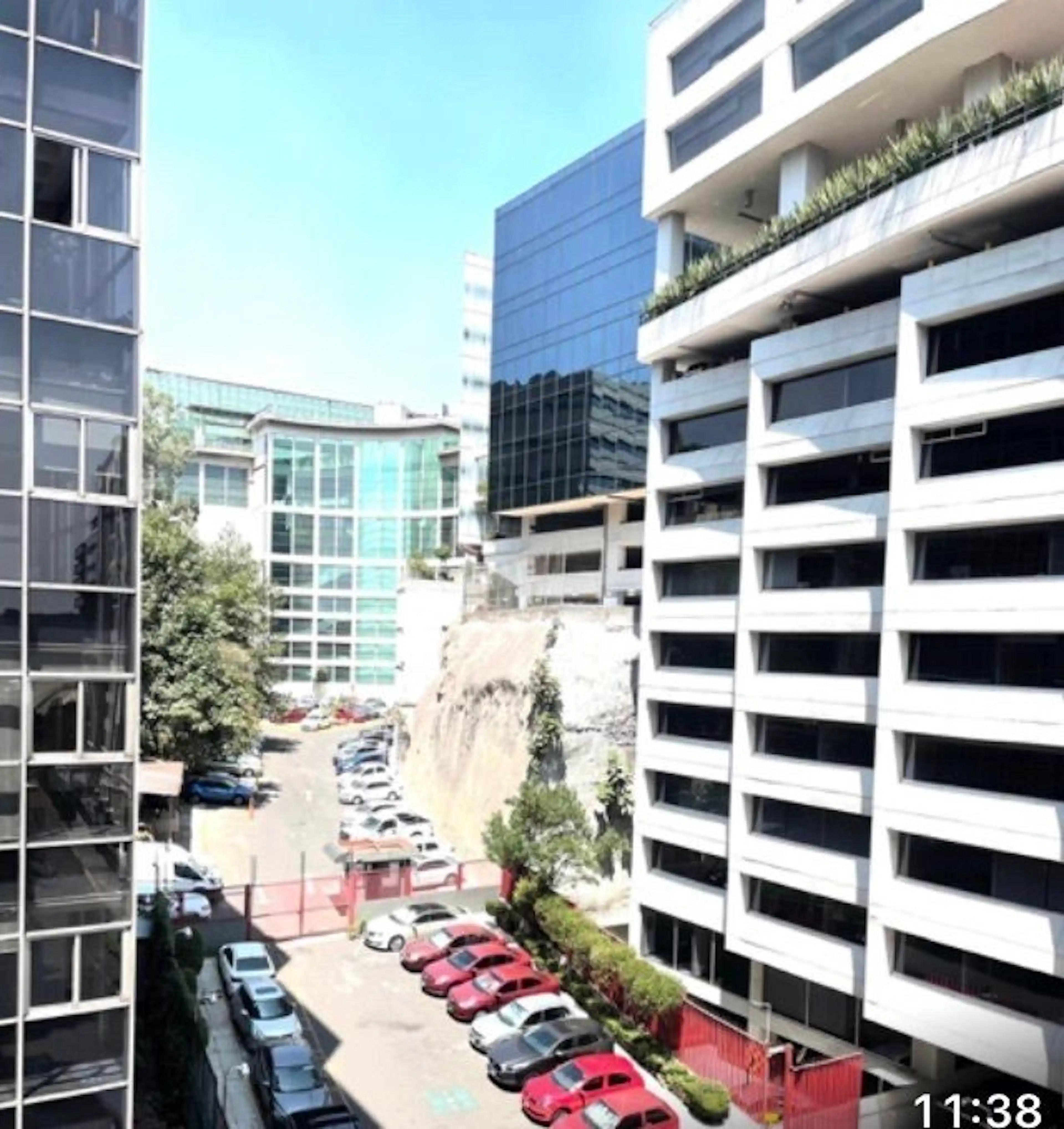 Bosque De Los Ciruelos