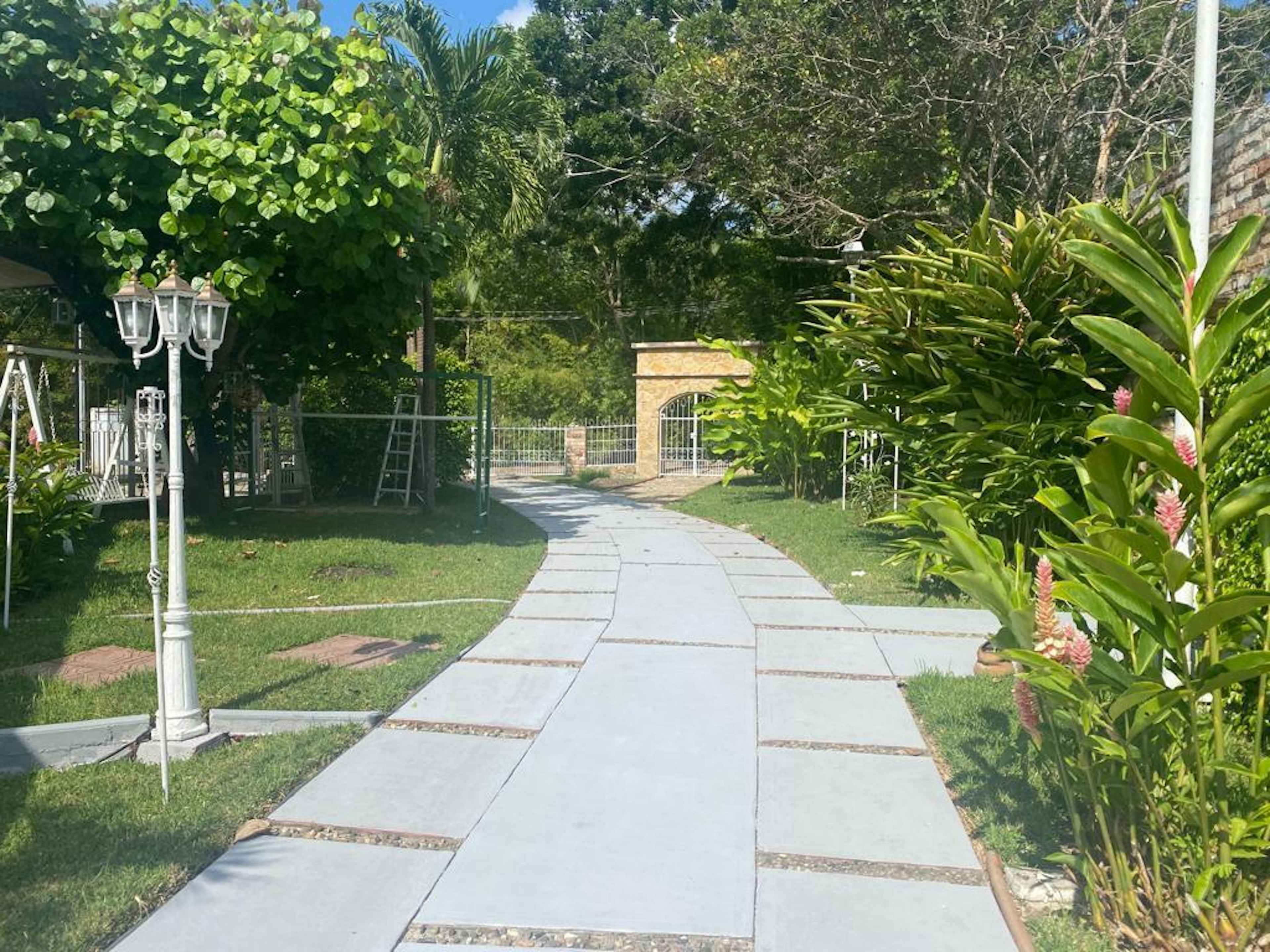 Novena Oriente Norte 971