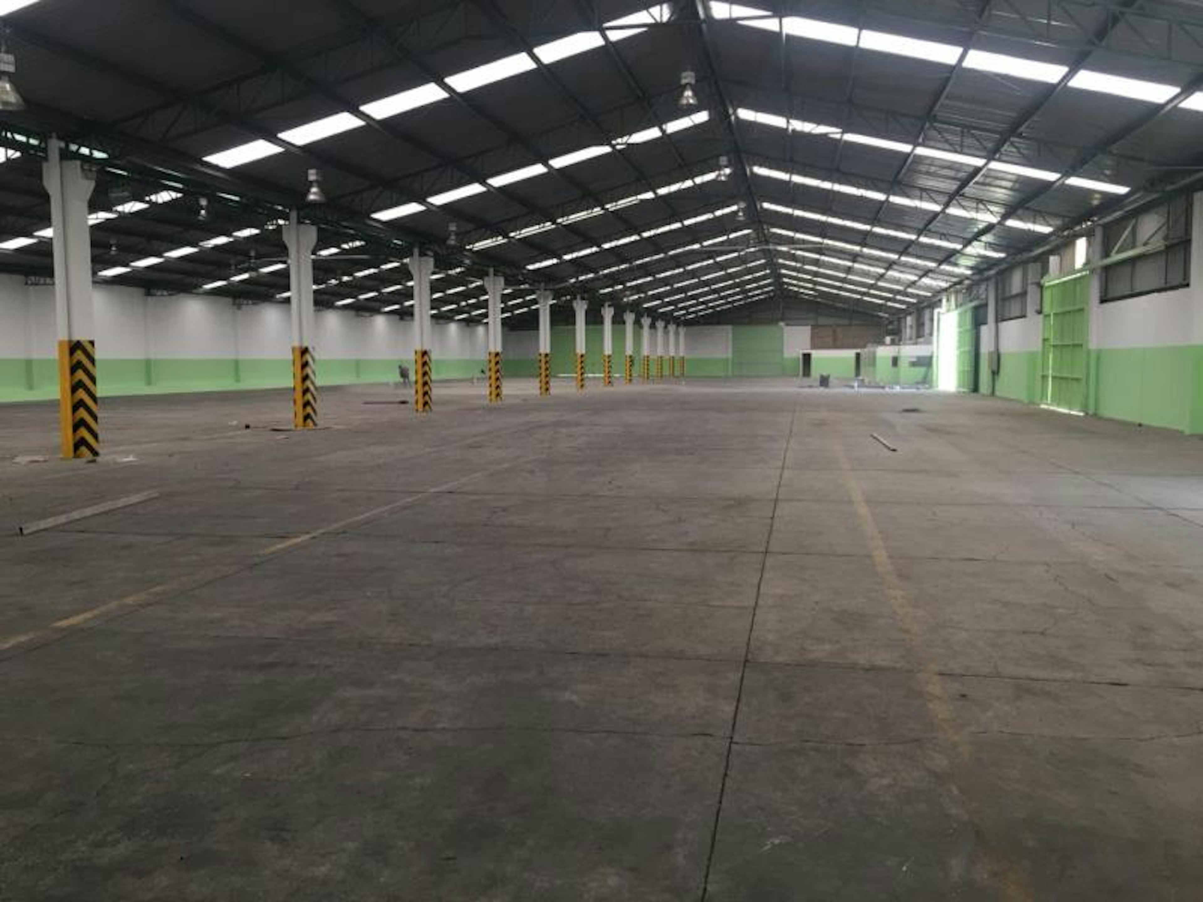 Antiguo Camino A La Resurrección 10619