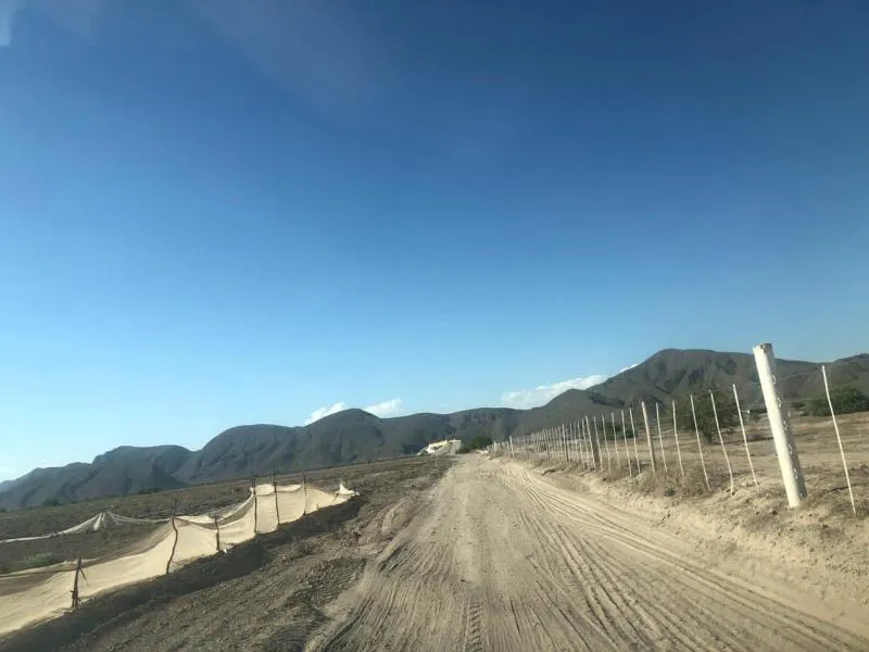 Terreno Spot2