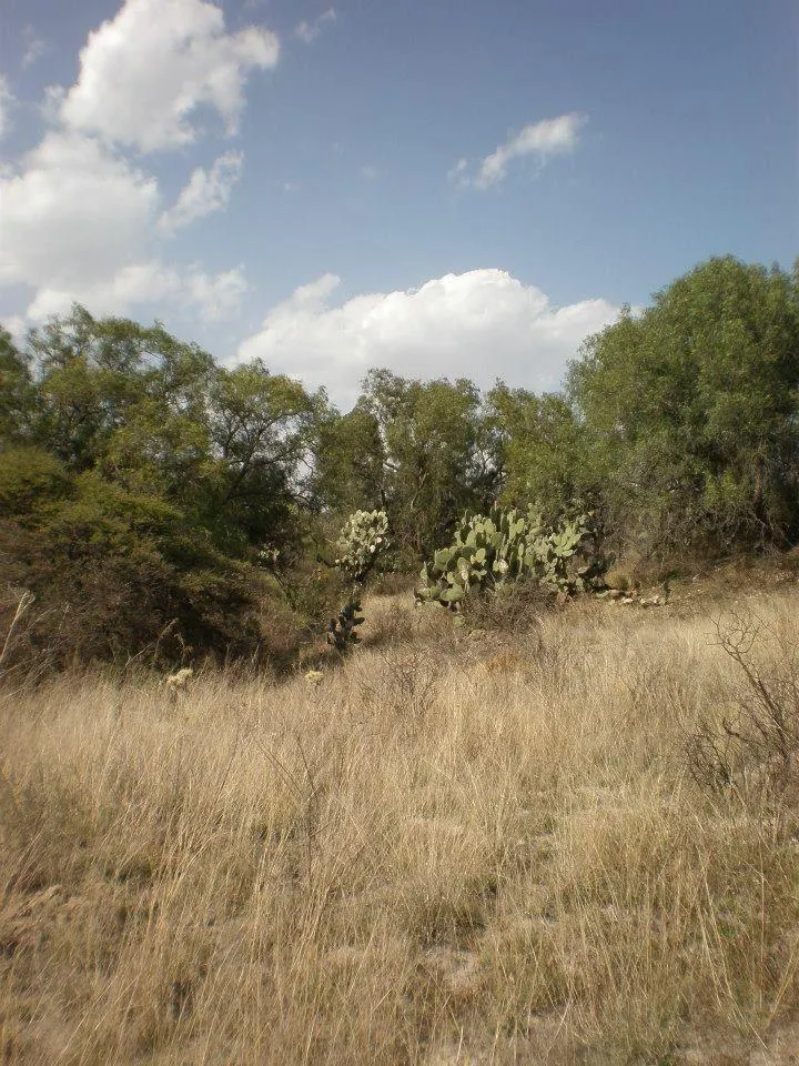 Terreno Spot2