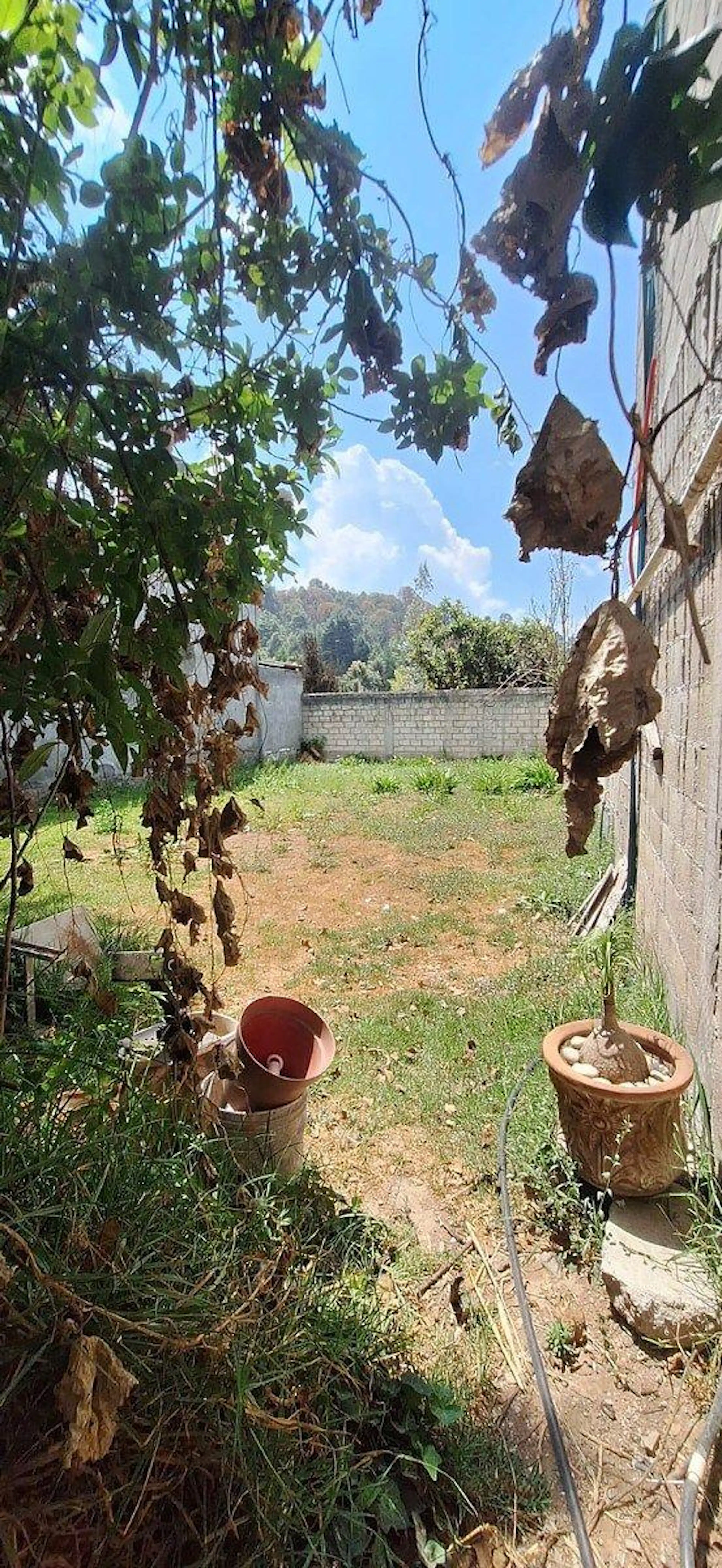 Propiedad con locales comerciales y casa habitación en venta – San Bartolo, Aman